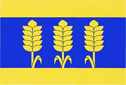 Flag of Nová Ves
